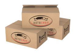 Caixa de Papelão - 28,7x20,2x11,4cm